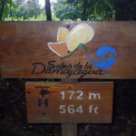 Damajagua Falls – A beautiful park, knowledgeable tour guides and relaxing