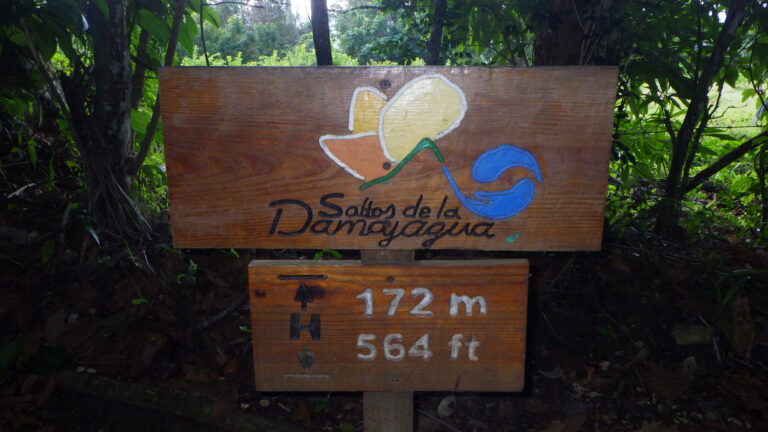 Damajagua Falls – A beautiful park, knowledgeable tour guides and relaxing